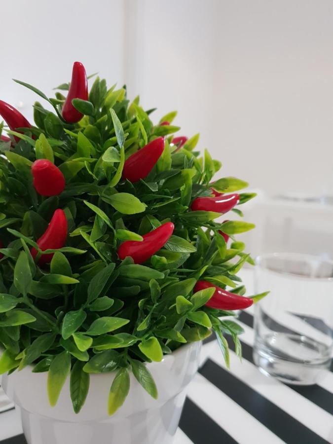 مبيت وإفطار كاتانيا Perla Sicula المظهر الخارجي الصورة